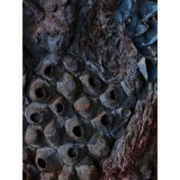 <a href=https://www.galeriegosserez.com/gosserez/artistes/l-c-lab.html> L&C Lab</a> - Biomater - Free Shape II